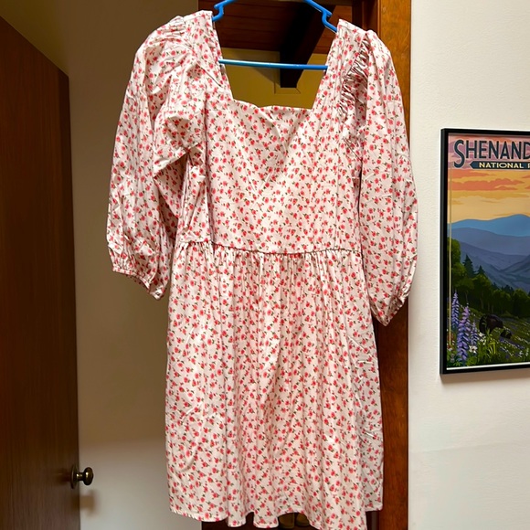 NWT Storia Azalea Poplin Dress size M - Picture 1 of 12